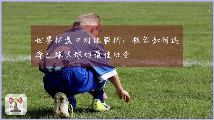 世界杯盘口对比解析，教你如何选择让球买球的最佳机会