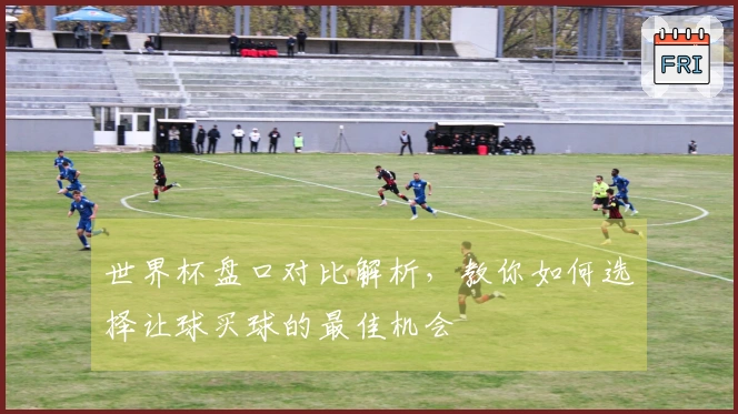 世界杯盘口对比解析，教你如何选择让球买球的最佳机会