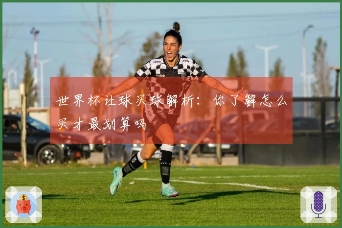 世界杯让球买球解析：你了解怎么买才最划算吗
