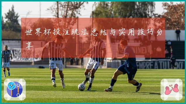 世界杯投注玩法总结与实用技巧分享