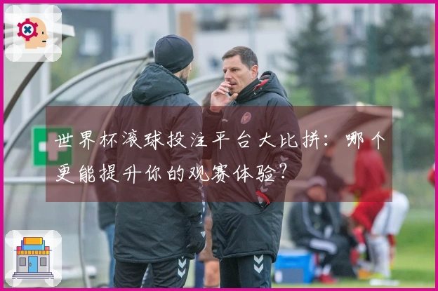 世界杯滚球投注平台大比拼：哪个更能提升你的观赛体验？